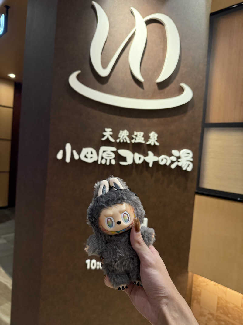 サウナーかけるんさんの天然温泉 小田原コロナの湯のサ活写真