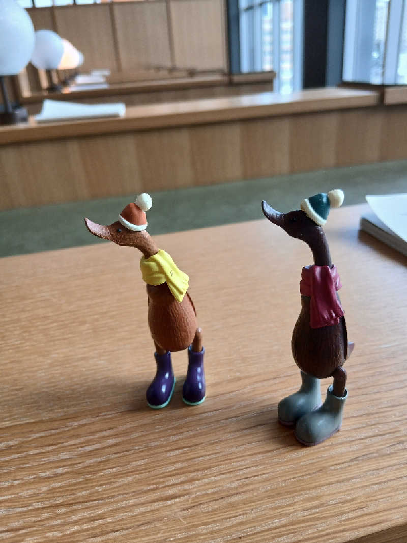 カモミール🦆さんの休日湯のサ活写真