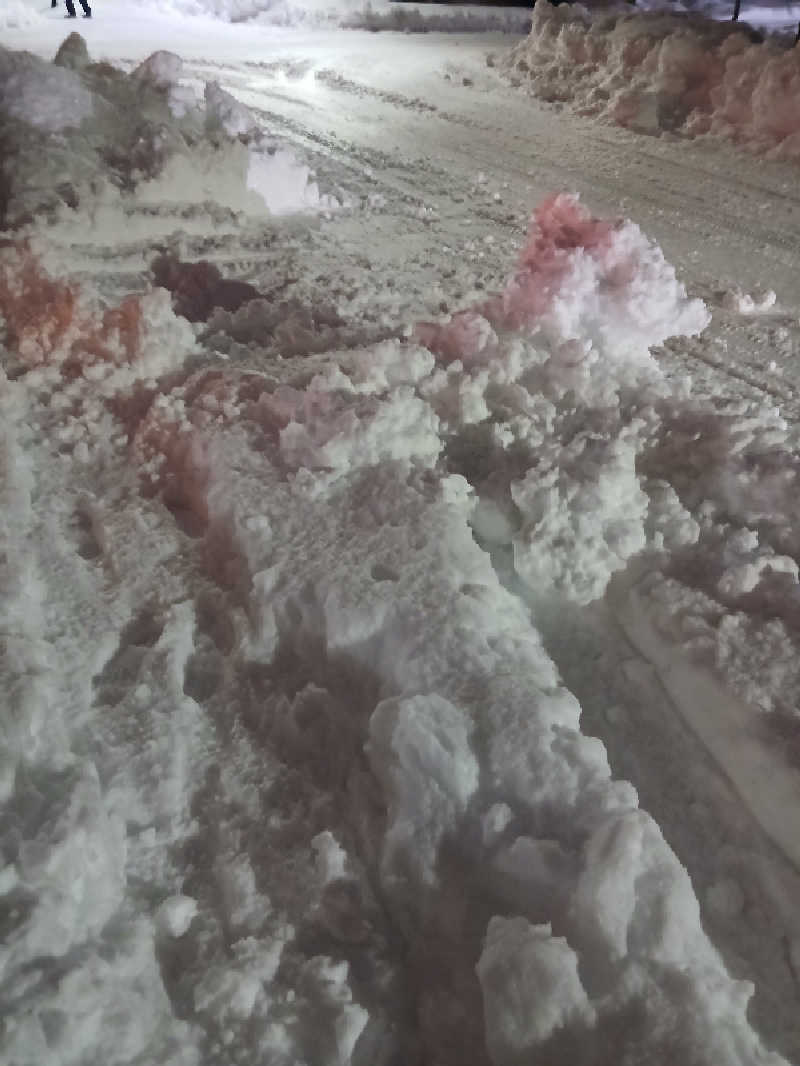 カモミール🦆さんの札幌あいの里温泉なごみのサ活写真