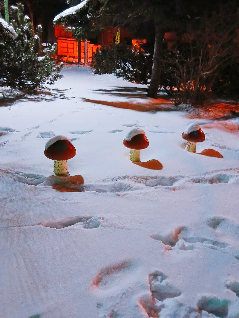 カモミール🦆さんの天然温泉あしべ屯田のサ活写真