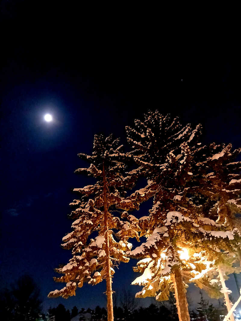カモミール🦆さんのシャトレーゼ ガトーキングダム札幌のサ活写真