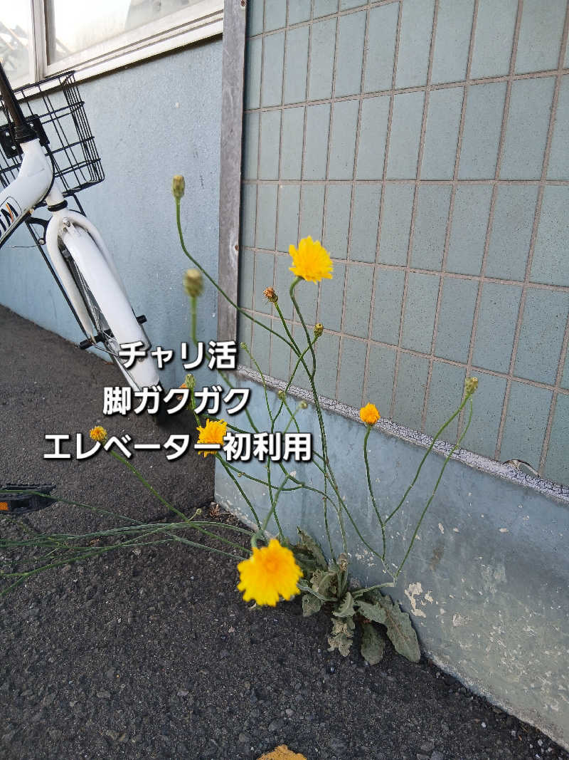 カモミール🦆さんの天然温泉あしべ屯田のサ活写真