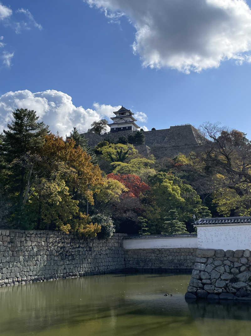 けろすさんの瀬戸大橋四国健康村のサ活写真