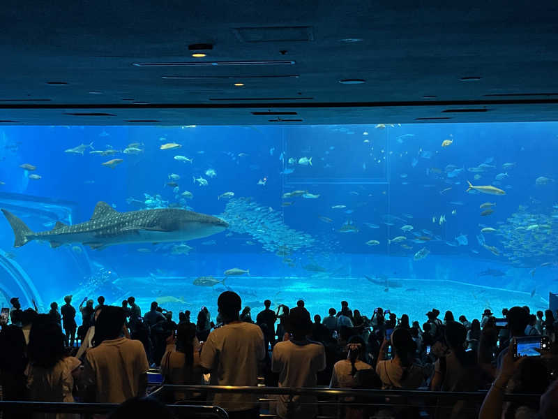 けろすさんのHotel SANSUI Naha 琉球温泉 波之上の湯のサ活写真