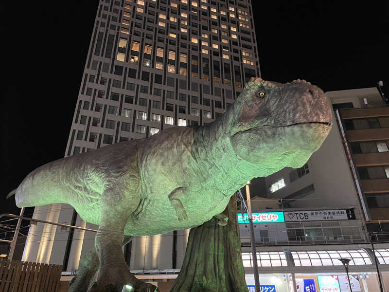けろすさんの天然温泉サウナ アパスパ福井片町(アパホテル 福井片町)のサ活写真