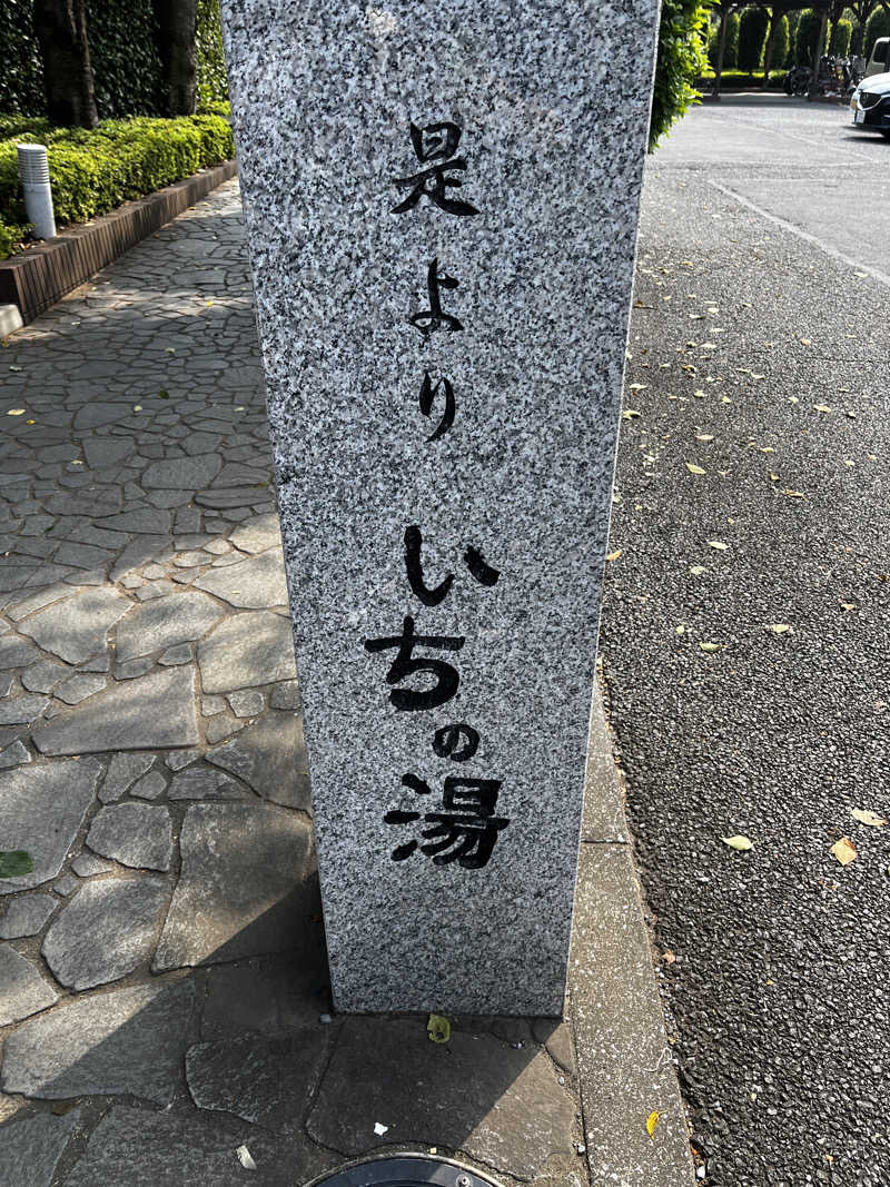 ぱぱいんさんのいちの湯 古河店のサ活写真