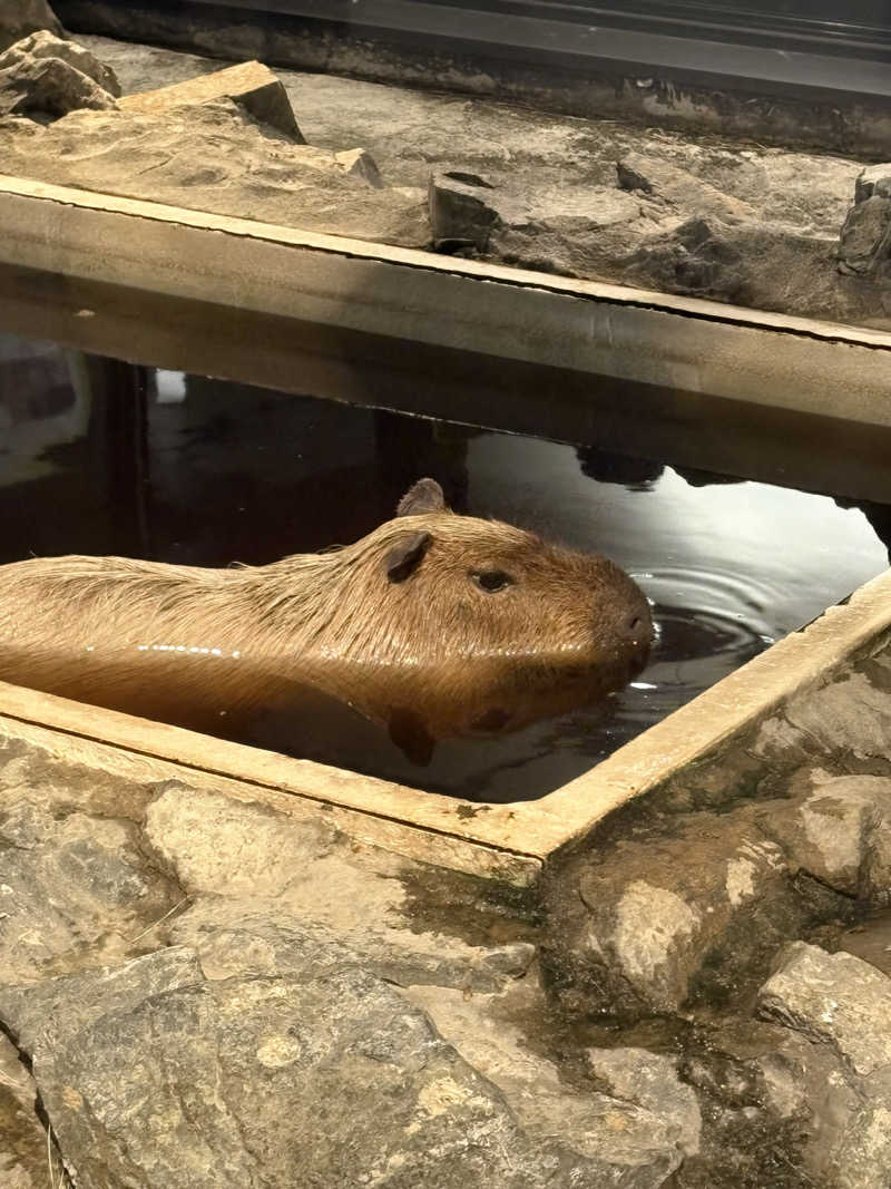 ユウさんの石狩天然温泉 番屋の湯のサ活写真