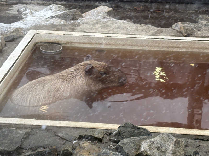 ユウさんの石狩天然温泉 番屋の湯のサ活写真