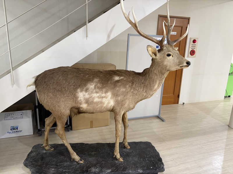 ユウさんの恵庭温泉ラ・フォーレのサ活写真
