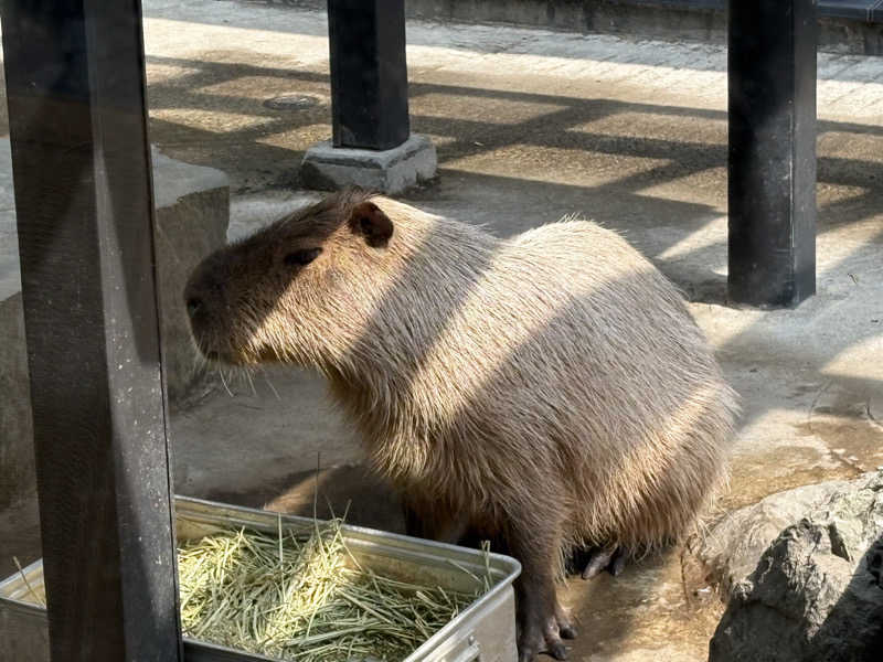 ユウさんの石狩天然温泉 番屋の湯のサ活写真