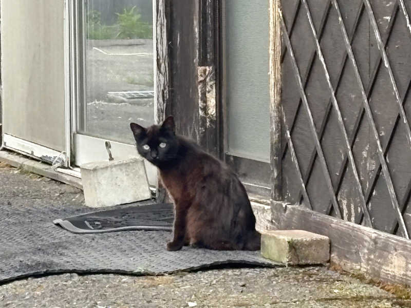 ユウさんの北村温泉ホテルのサ活写真