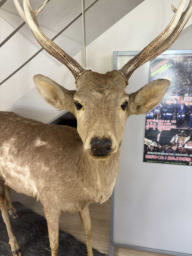 ユウさんの恵庭温泉ラ・フォーレのサ活写真