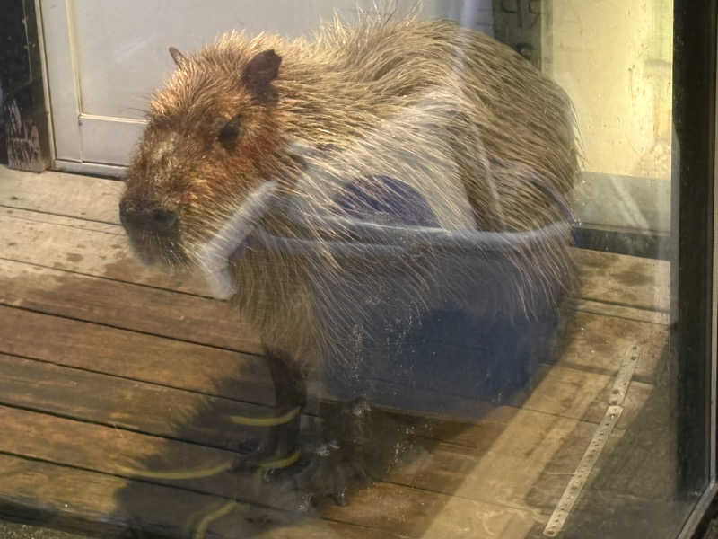 ユウさんの石狩天然温泉 番屋の湯のサ活写真
