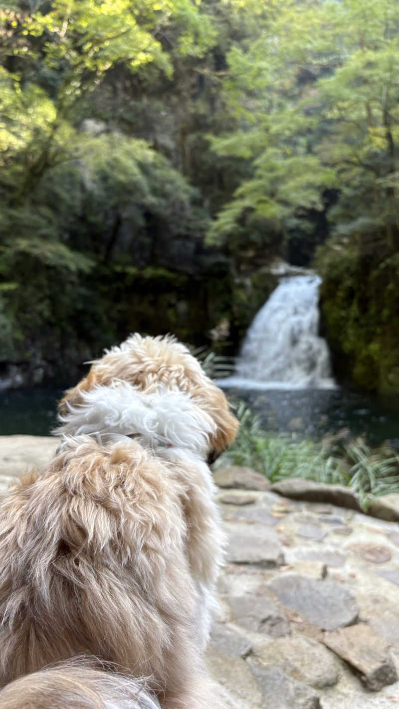 Daichiさんの湯元赤目 山水園のサ活写真