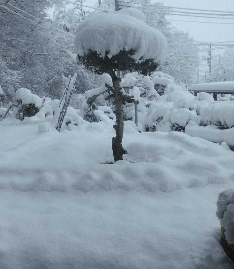 まるこさんの天然温泉ホテルリブマックスBUDGET甲府のサ活写真