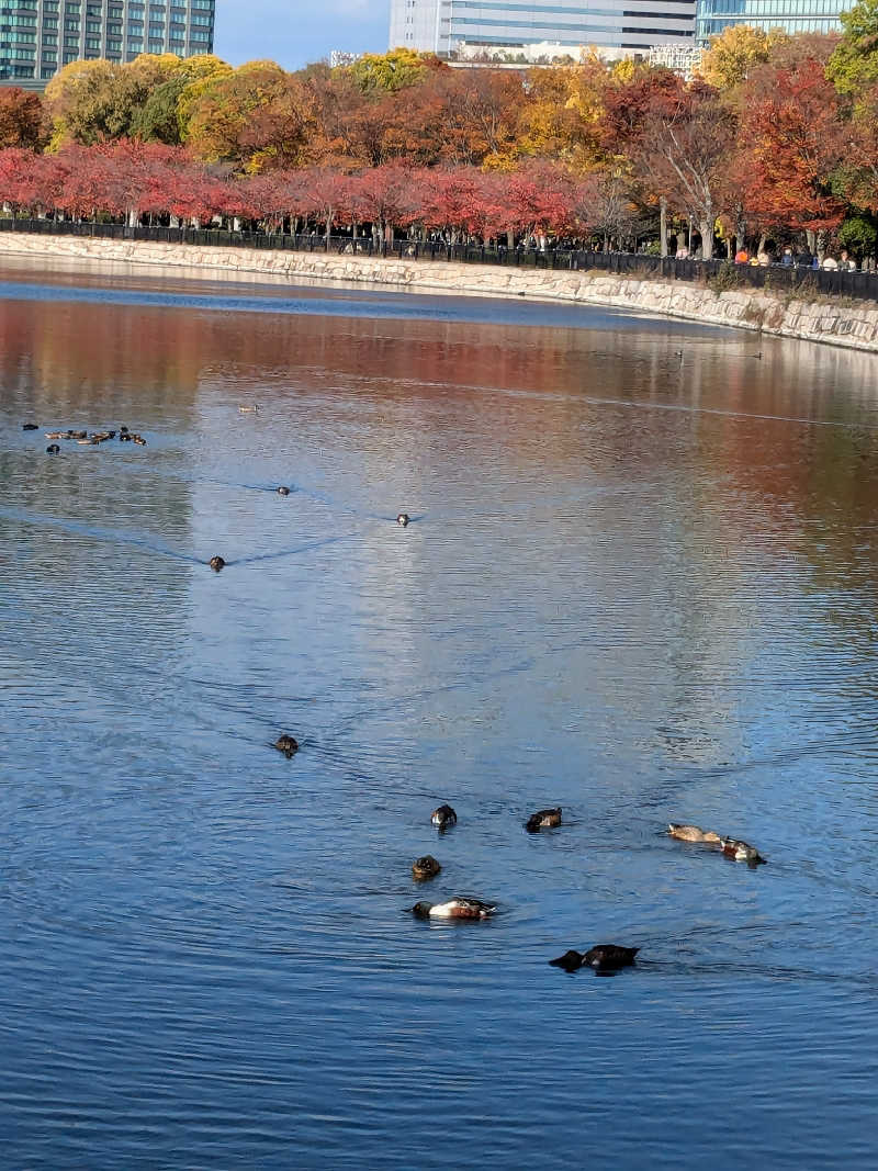 たぁくんさんの寿温泉のサ活写真