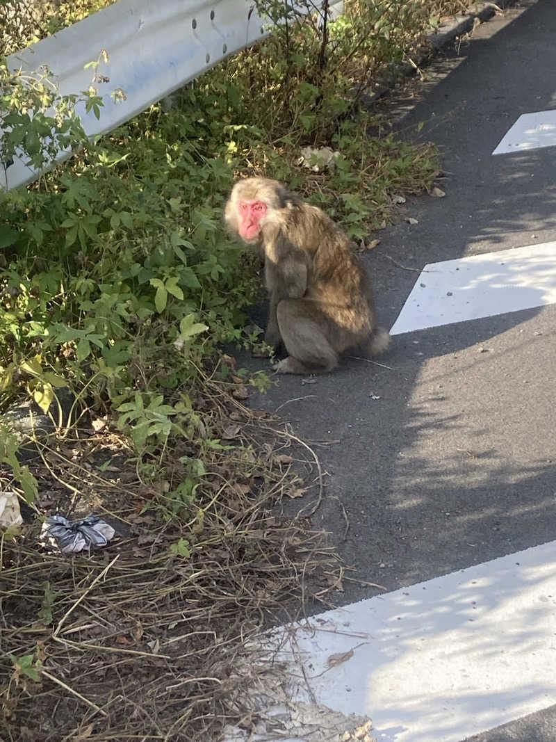 😵‍💫😵😮‍💨😪さんの山梨泊まれる温泉 より道の湯のサ活写真