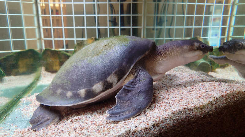 じゅんちさんの松本湯のサ活写真