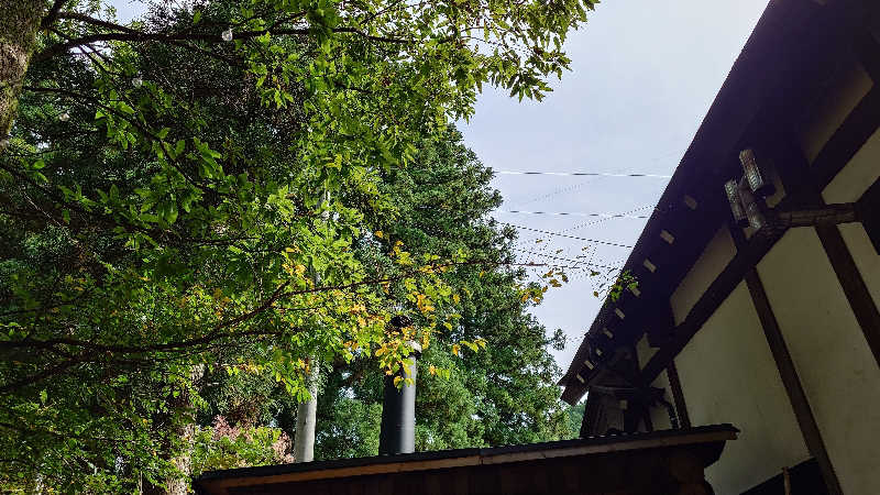 じゅんちさんのななほしサウナのサ活写真