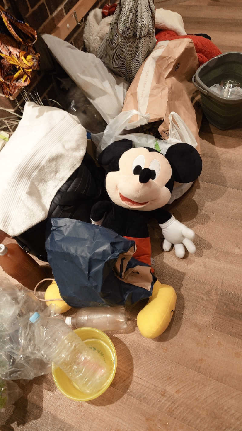 じゅんちさんの天然温泉 平和島のサ活写真