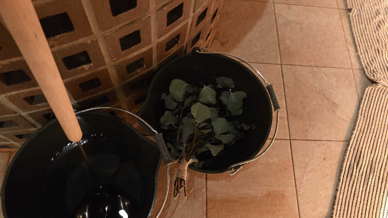 じゅんちさんの天然温泉 平和島のサ活写真