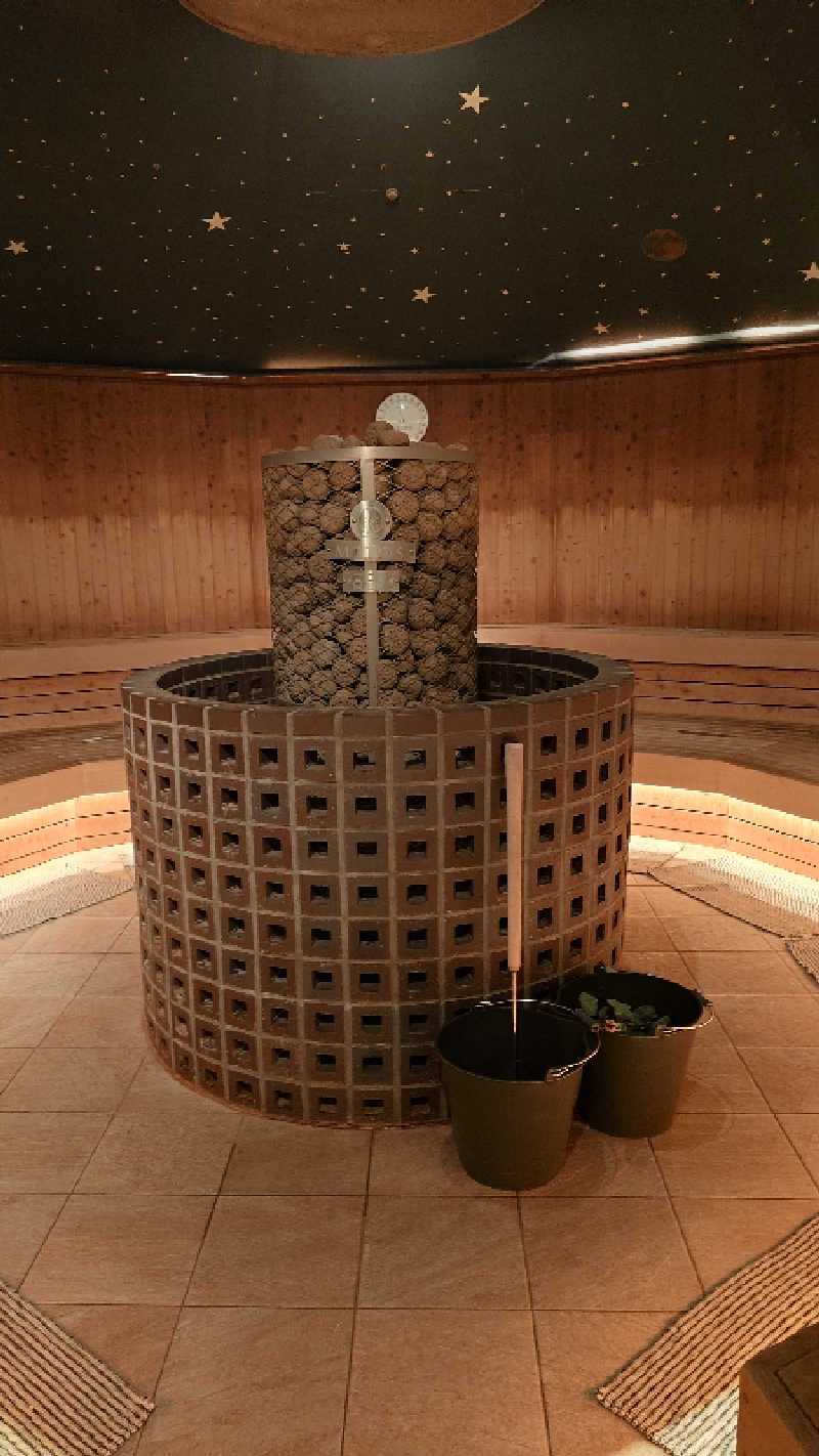 じゅんちさんの天然温泉 平和島のサ活写真