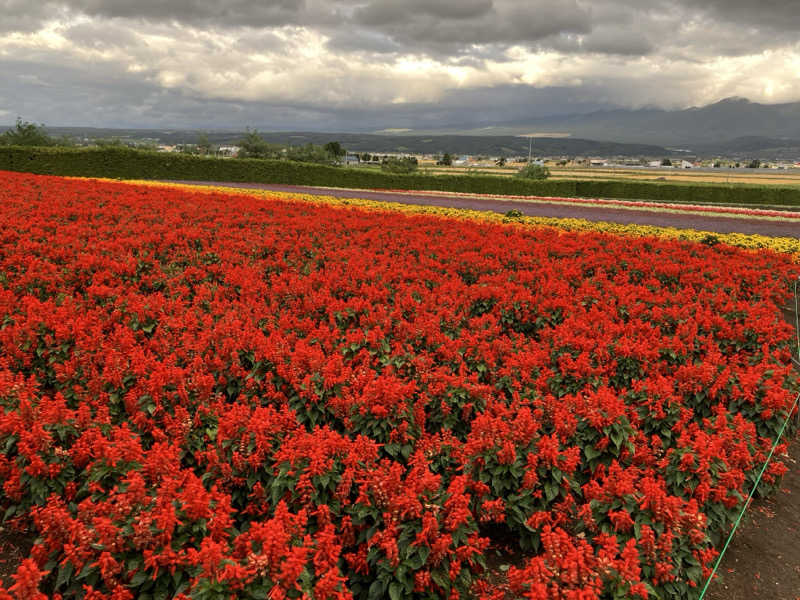 ポロリさんの吹上温泉保養センター 白銀荘のサ活写真