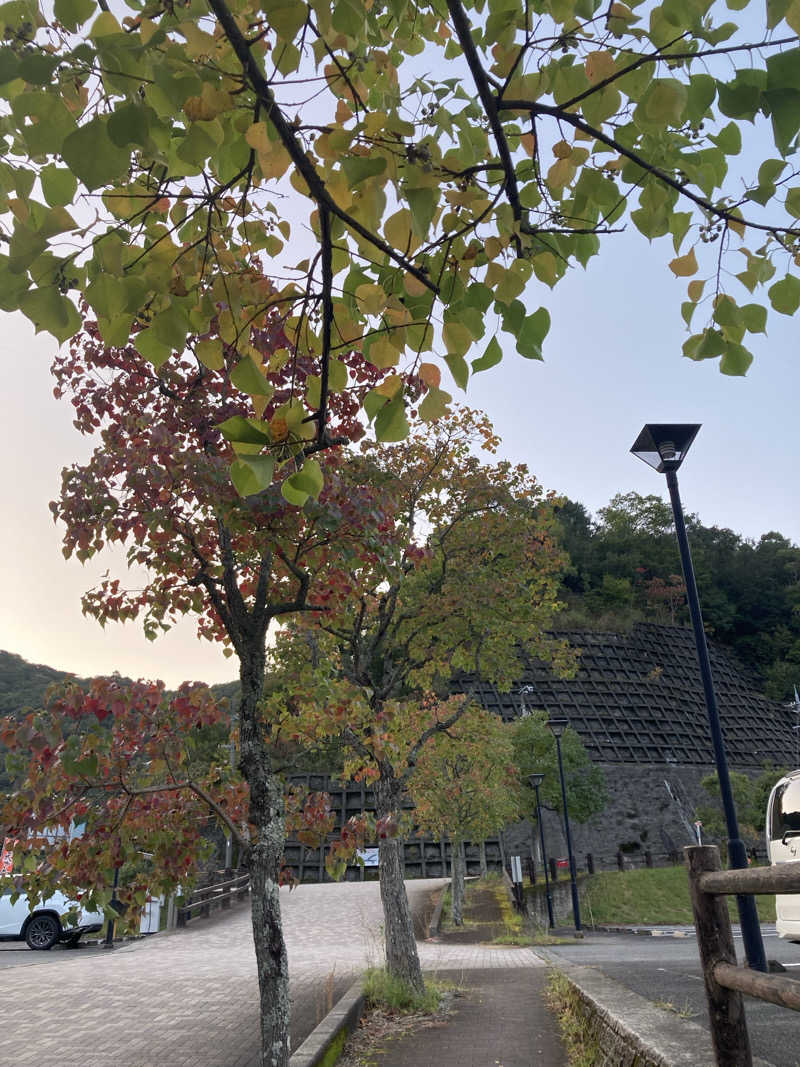 すぬぷ（旧すぬーぴー🐶）さんの滝原温泉 ほたるの湯のサ活写真