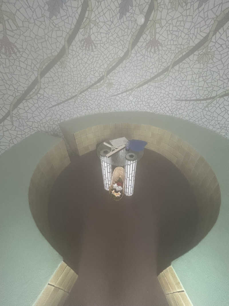 朝一番の始発で帰る私は酷い顔さんのThe Cocoon Sauna & Ice bathのサ活写真