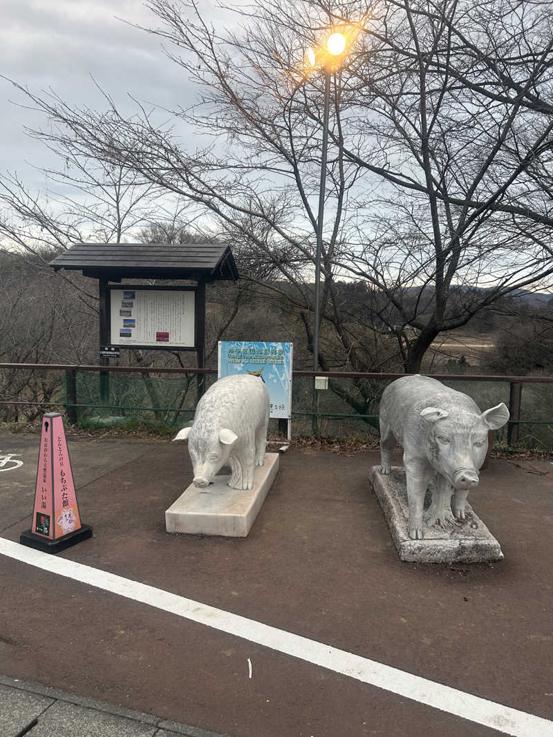 田舎サウナーさんのおおがわら天然温泉 いい湯のサ活写真