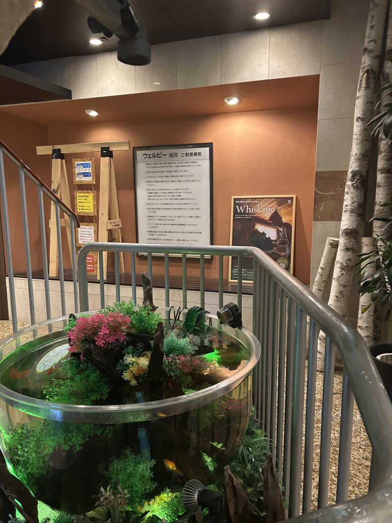 田舎サウナーさんのウェルビー福岡のサ活写真