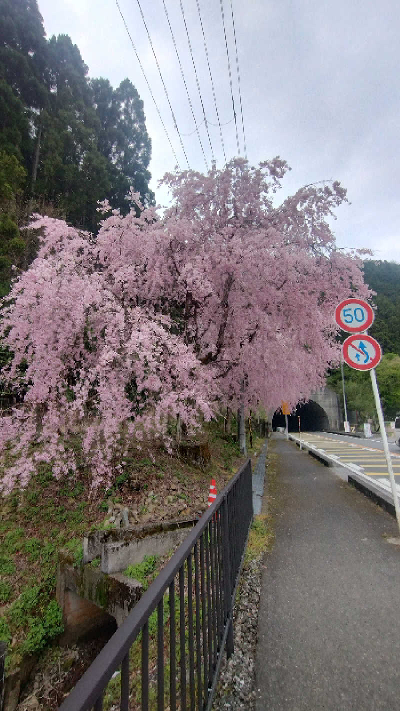 ＪＪ８８４さんの極楽湯 彦根店のサ活写真