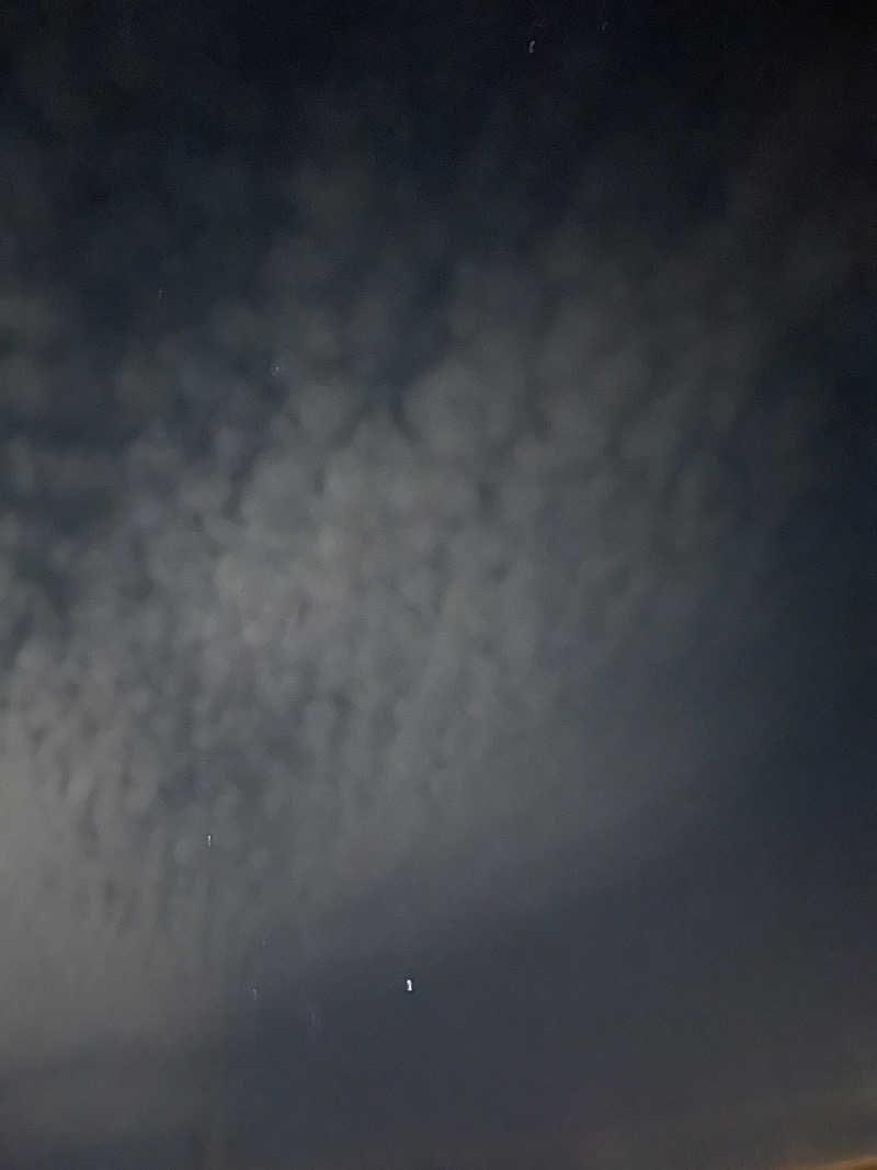 ただちゃん@じょんのび♨🌿‬さんのサウナと天然温泉 じょんのび館のサ活写真