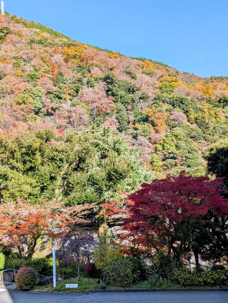 aさんの湯本富士屋ホテルのサ活写真