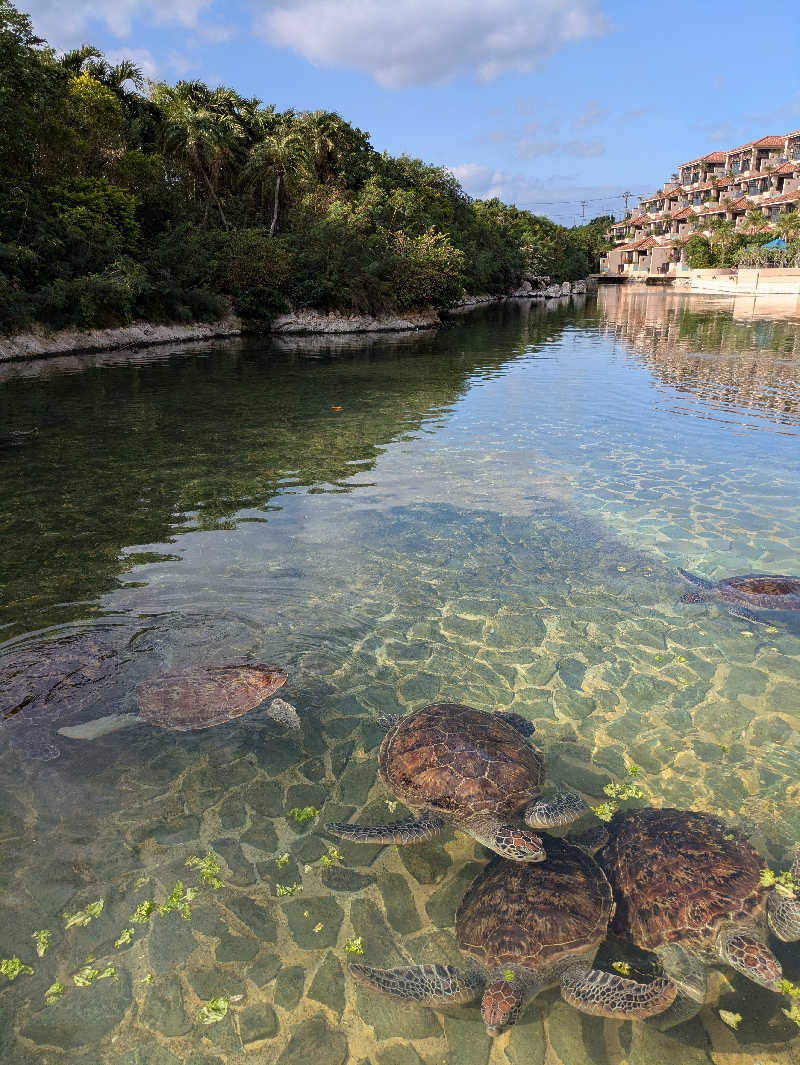 aさんのホテル シギラミラージュのサ活写真