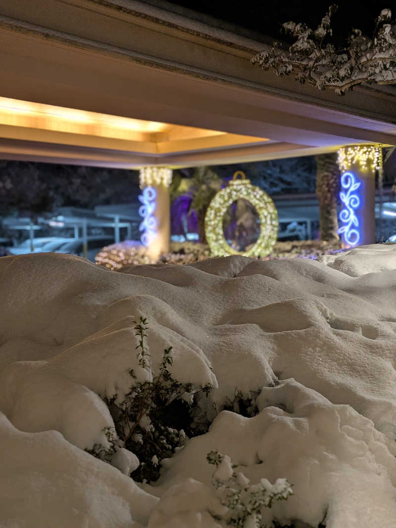 aさんのエクシブ伊豆のサ活写真