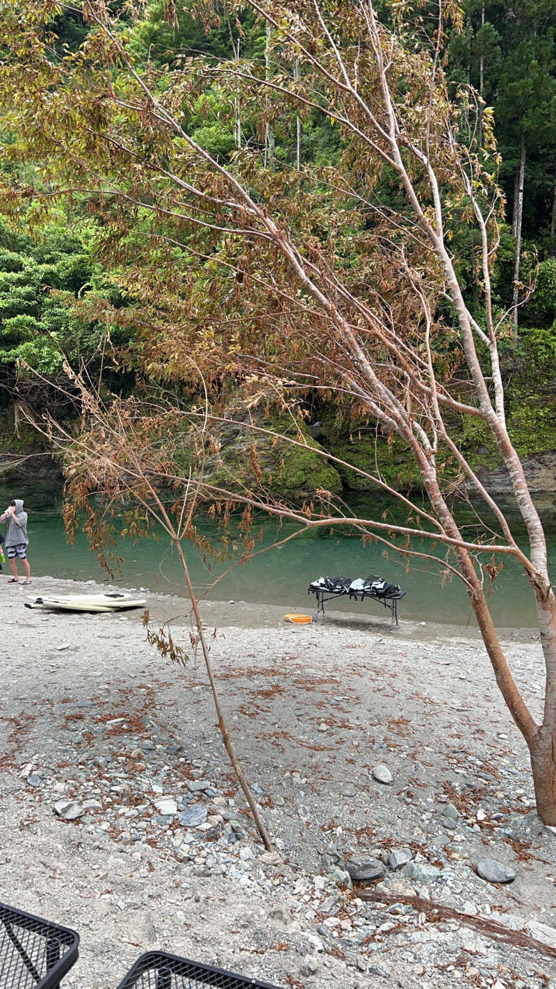 タラレバさんのサウナ天竜のサ活写真