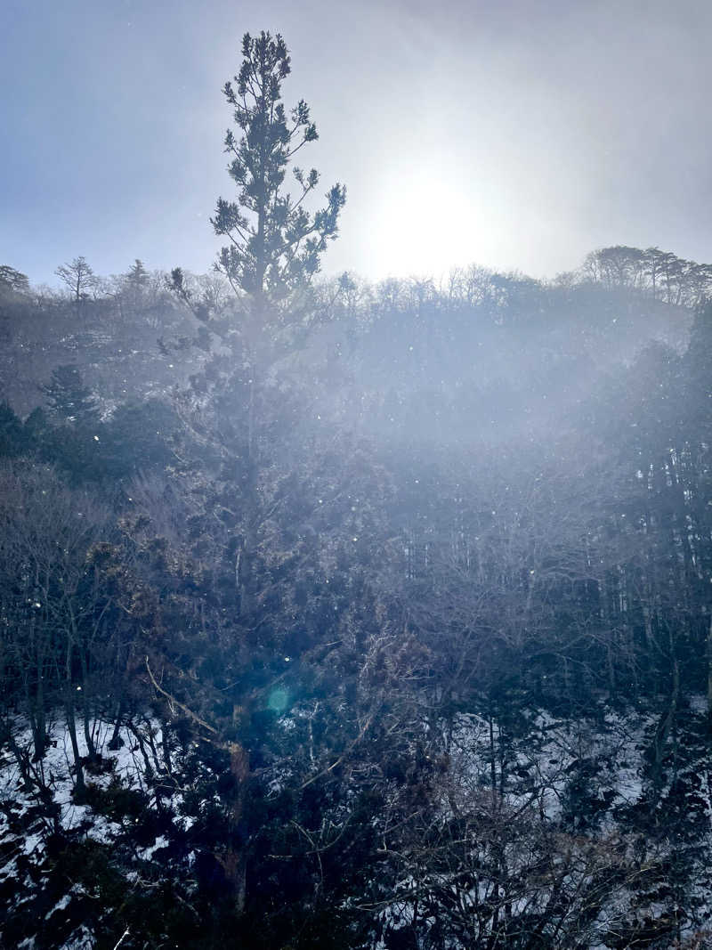 ypkさんの塩の湯温泉 蓮月のサ活写真