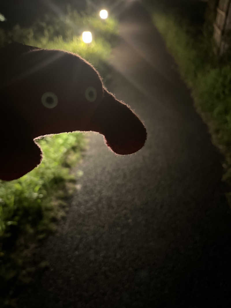 ちいかさんの上尾天然温泉 日々喜の湯のサ活写真