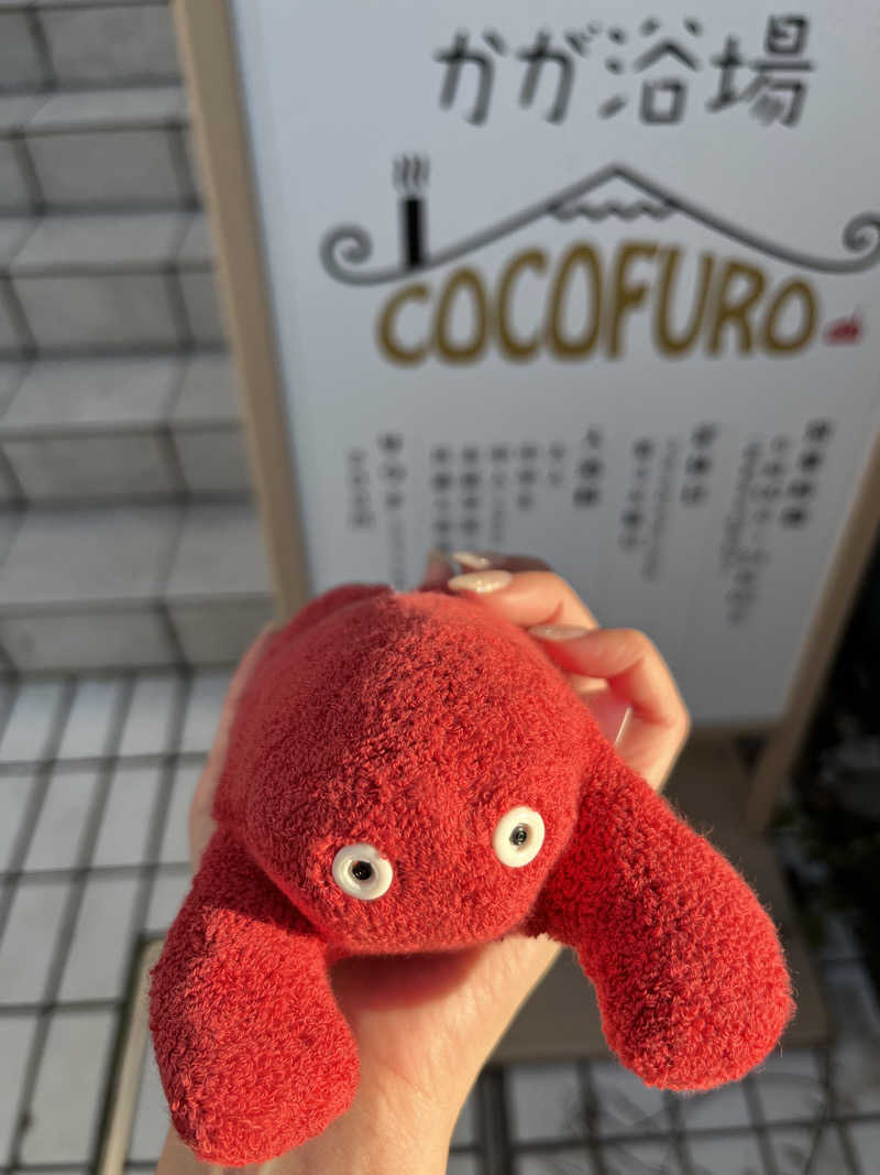 ちいかさんのCOCOFURO かが浴場のサ活写真