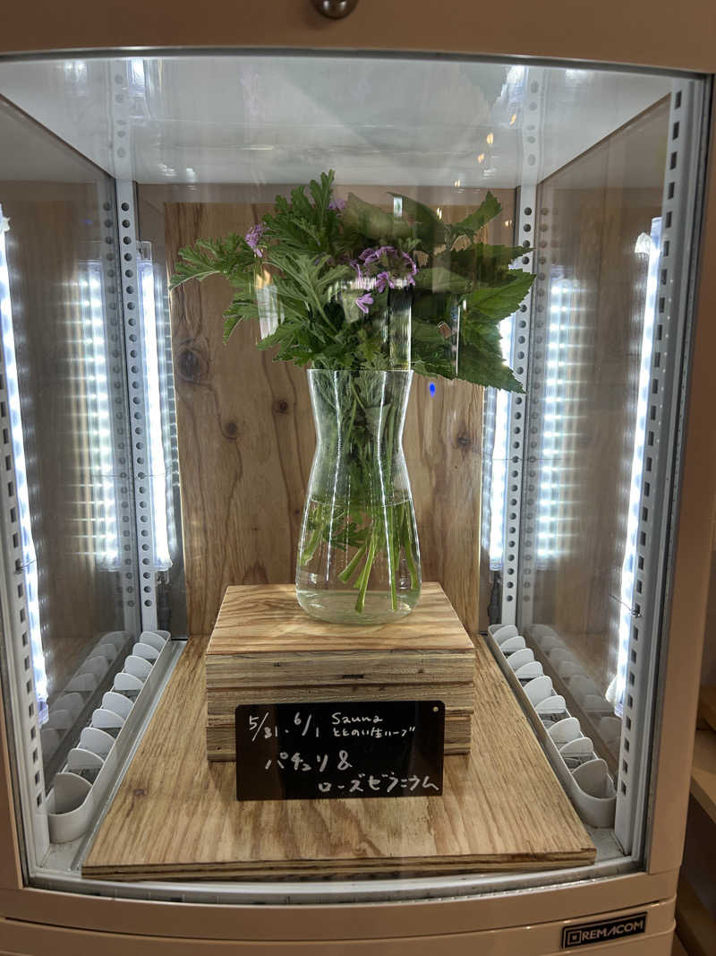 蒸しＺさんの各務原 恵みの湯のサ活写真
