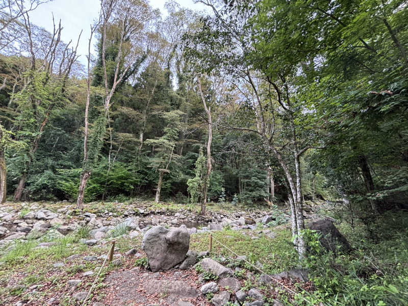 mikoさんのモダン湯治 おんりーゆーのサ活写真