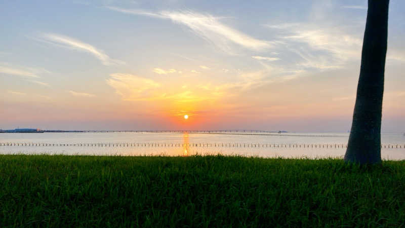 mikoさんの天然温泉 海辺の湯のサ活写真
