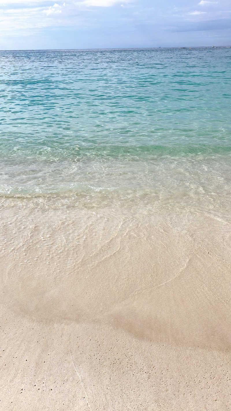 mikoさんの紀州の湯 ドーミーインPREMIUM和歌山のサ活写真