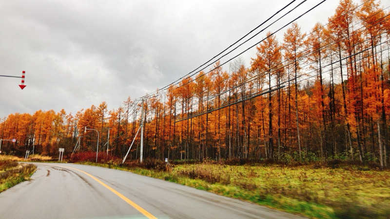 mikoさんのログホテル  ザ  メープルロッジのサ活写真