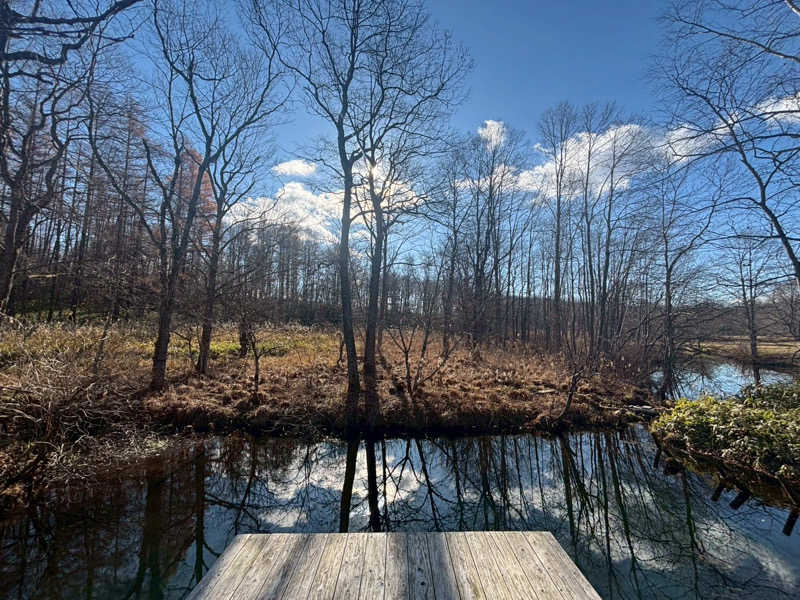 mikoさんのKIELO SAUNAのサ活写真