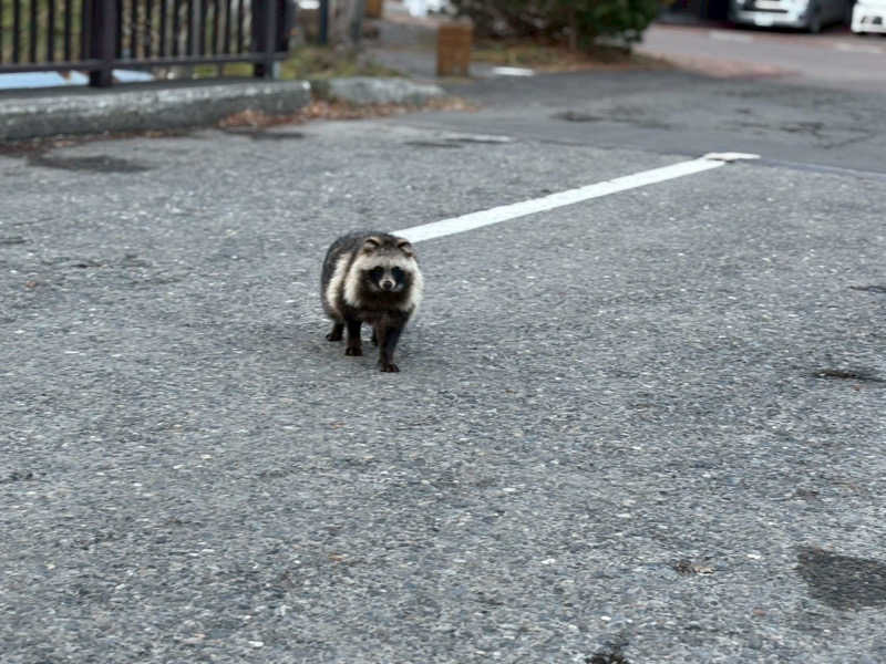 mikoさんのニュー阿寒ホテルのサ活写真