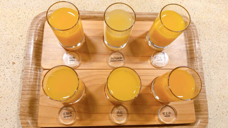 mikoさんの後楽温泉ほのかの湯のサ活写真