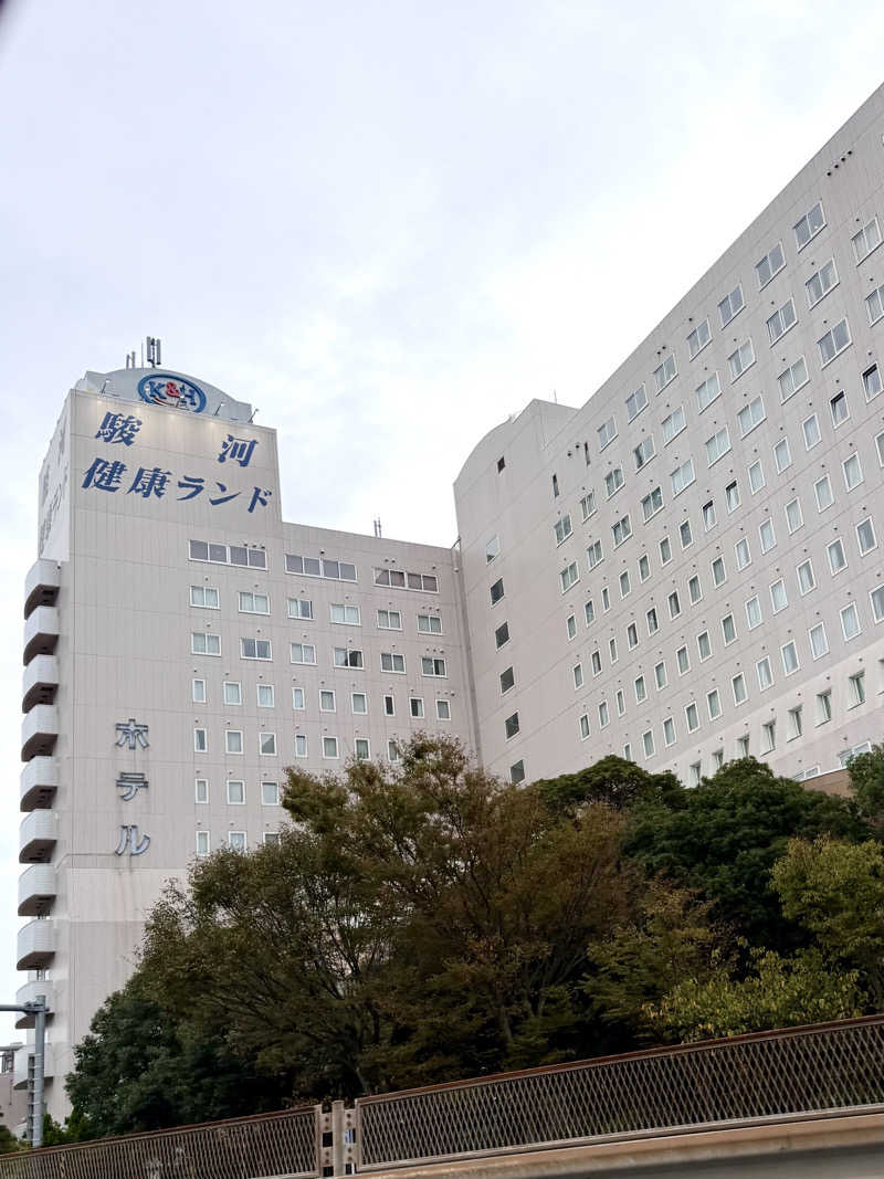 かずくんさんの駿河健康ランドのサ活写真