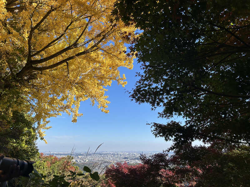 まいむさんの京王高尾山温泉 極楽湯のサ活写真
